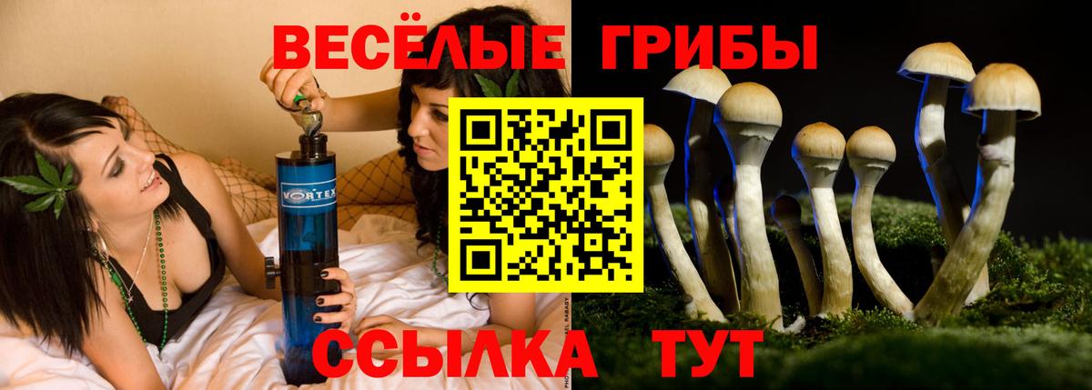 Псилоцибиновые грибы GOLDEN TEACHER  Вход с VPN  Солнечногорск 
